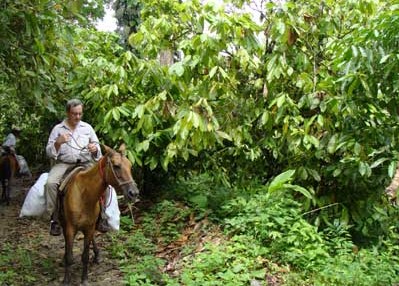 Panama