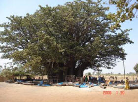 Senegal